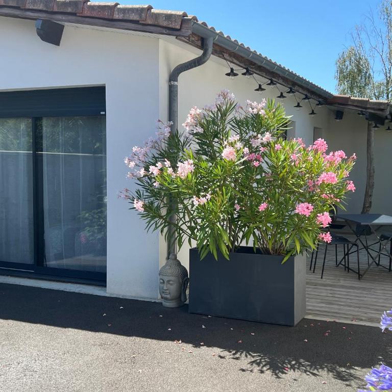 Gujan-Mestras Chez Flo maison 4 places la hume - Maison 2 Chambres - 2