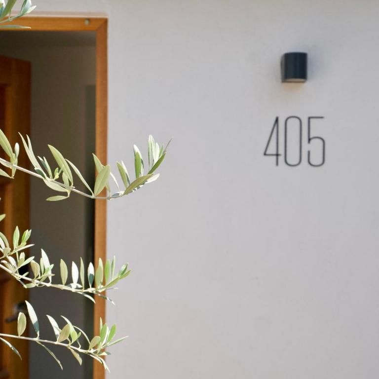 Altata by Oolena - Estudio Superior - 15