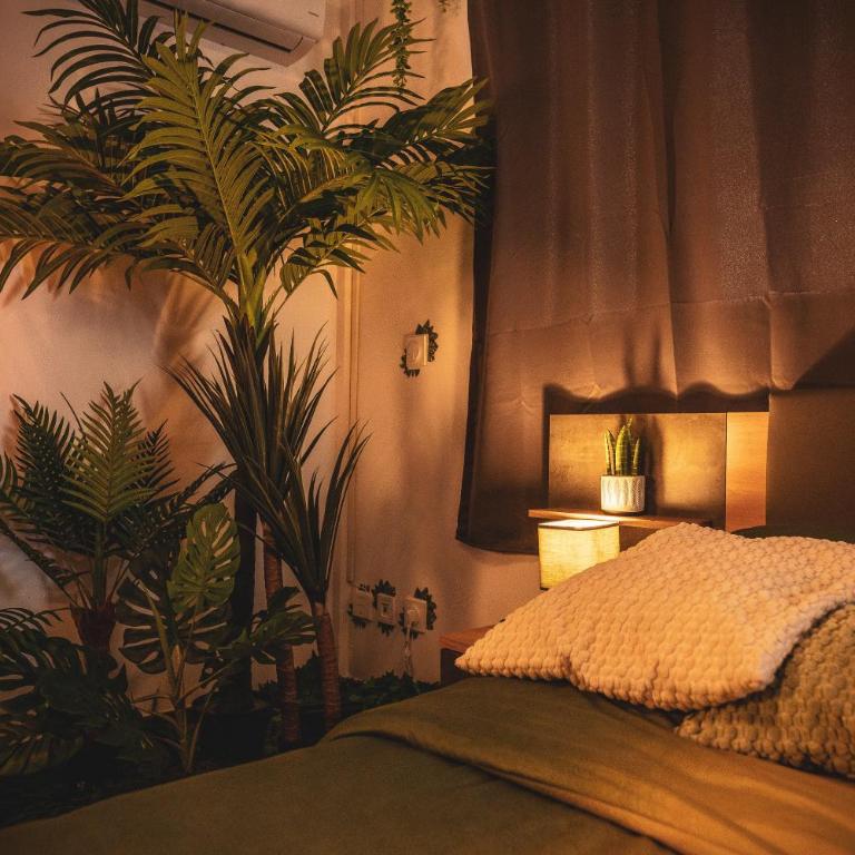 Suite Secret Emeraude - Appartement 1 Chambre - 6