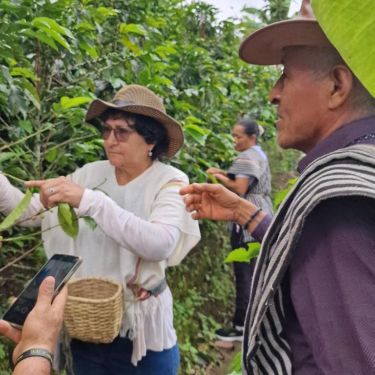 Hotel La Caracola Salento - Habitación Deluxe con cama extragrande - 21