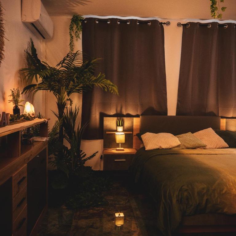 Suite Secret Emeraude - Appartement 1 Chambre - 3