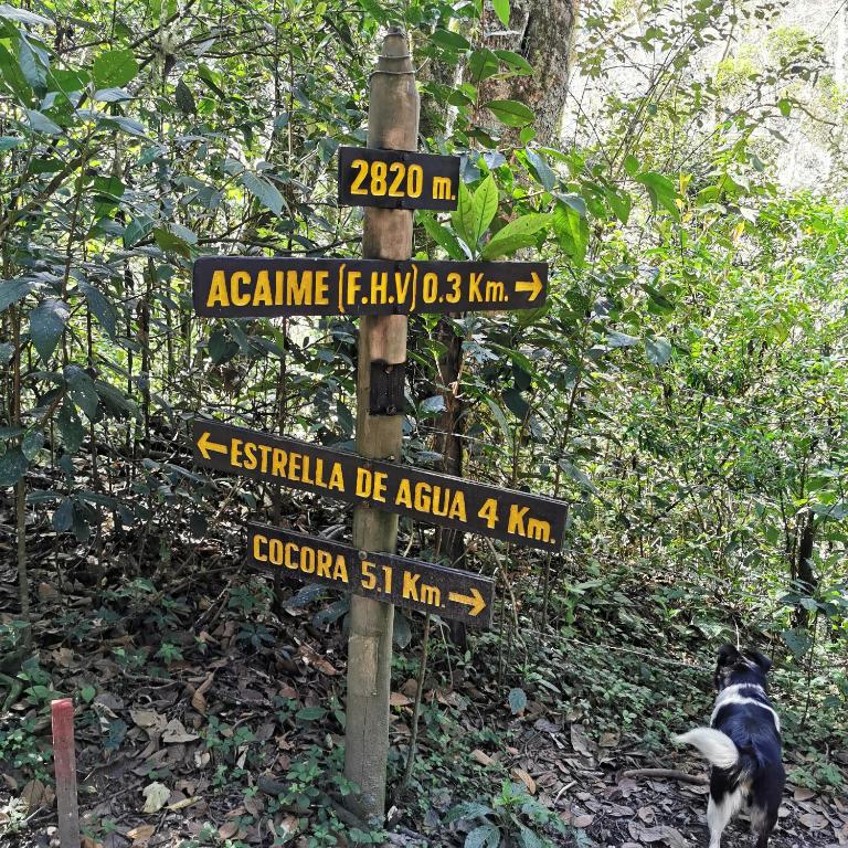 Hotel La Caracola Salento - Habitación Deluxe con cama extragrande - 36