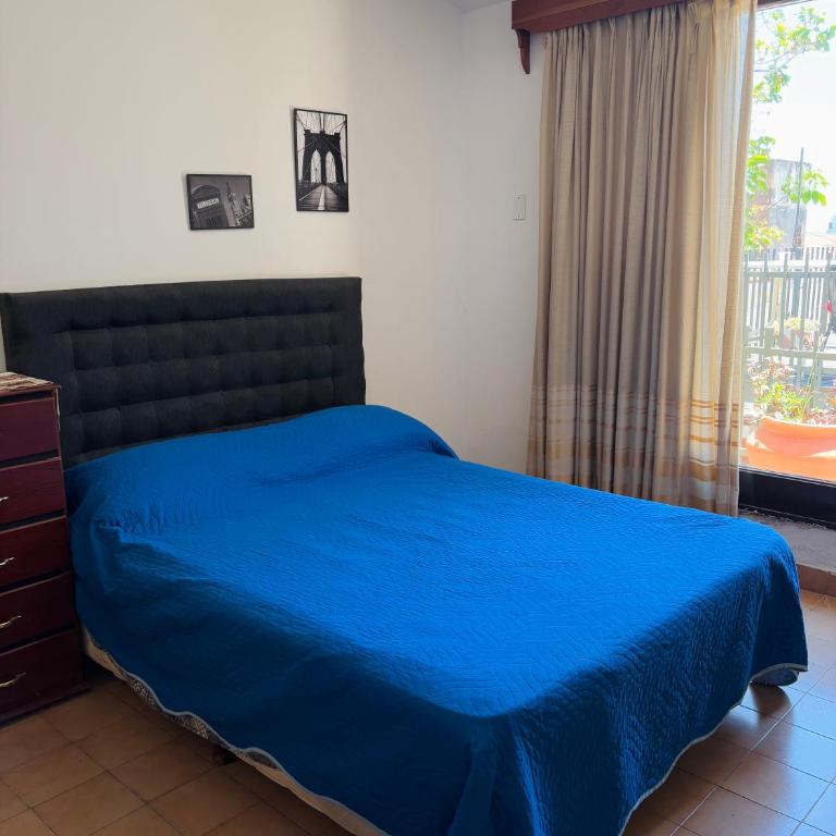 Departamentos Pasini - Apartamento de 2 dormitorios - 3