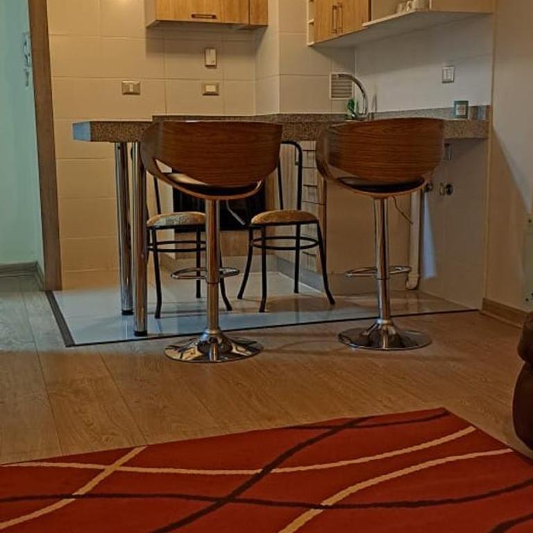 Hermoso departamento a pasos de la plaza de Chillan - Apartamento de 1 dormitorio - 2