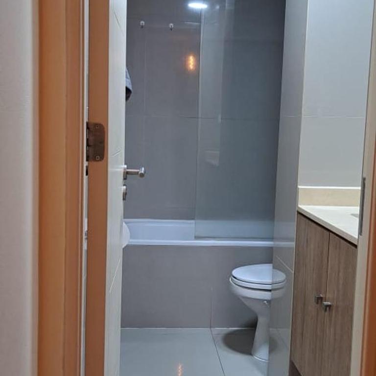 Hermoso departamento a pasos de la plaza de Chillan - Apartamento de 1 dormitorio - 4