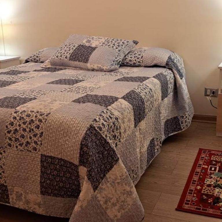 Hermoso departamento a pasos de la plaza de Chillan - Apartamento de 1 dormitorio - 6