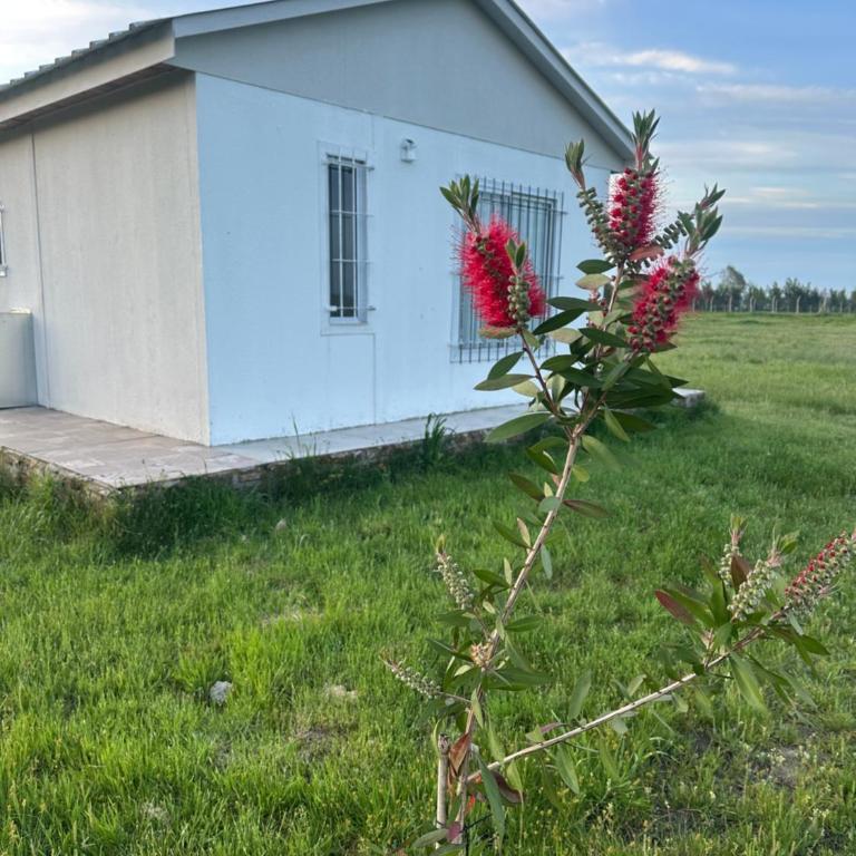 Epona - One-Bedroom House - 18
