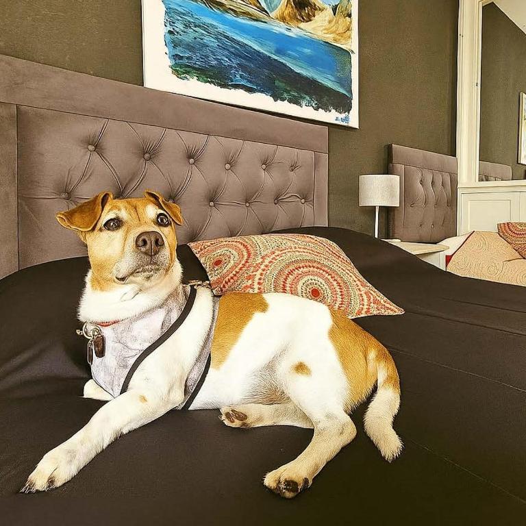 Hotel Urbano Ventia - Habitación Familiar - 6