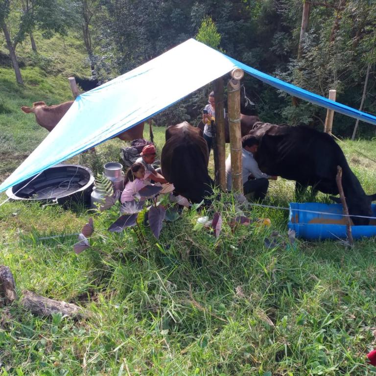 Las Hamacas (Hospedaje Rural) - Habitación Cuádruple con vistas a la montaña - 11