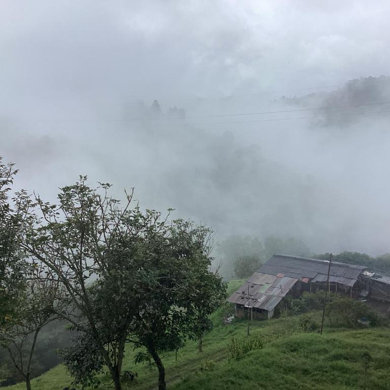 Las Hamacas (Hospedaje Rural) - Habitación Doble con vistas a la montaña - 16