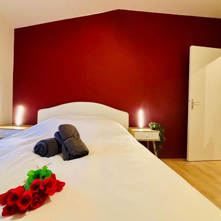 Studio rubis - Proche centre-ville - Saint-Etienne - Apartamento de 1 dormitorio - 12