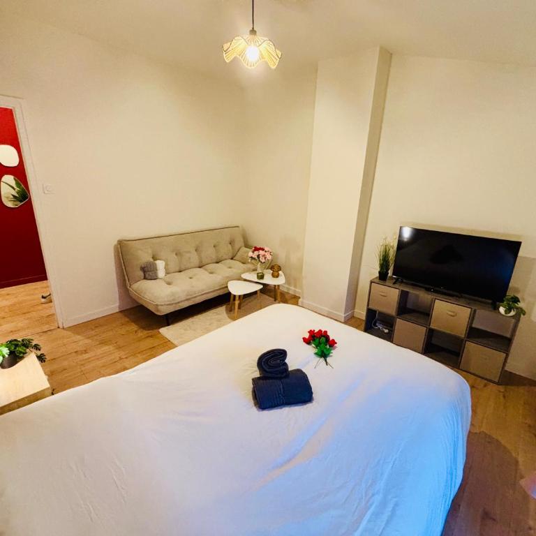 Studio rubis - Proche centre-ville - Saint-Etienne - Apartamento de 1 dormitorio - 13