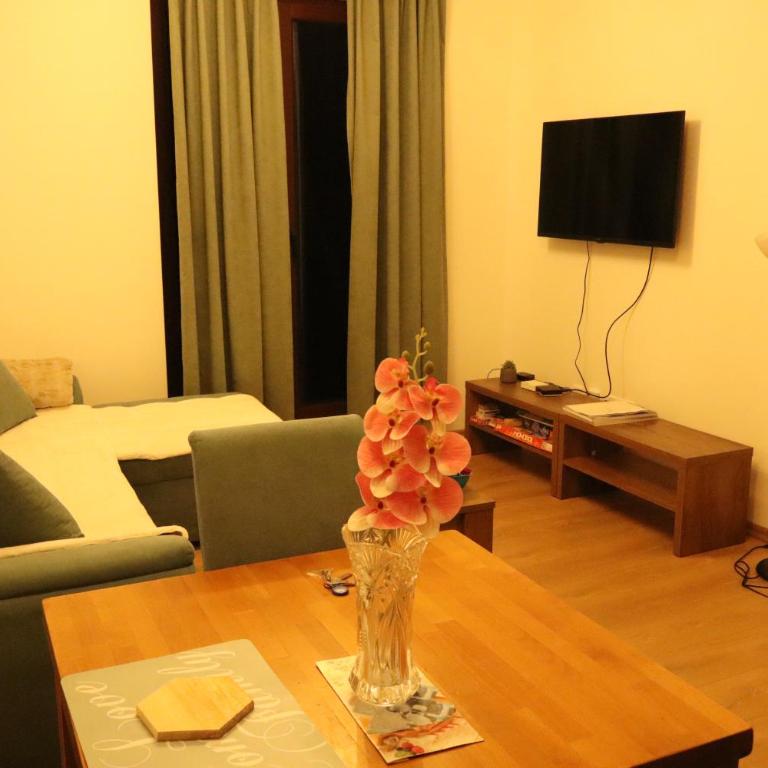 Vila Akva - Apartman sa 1 Spavaćom Sobom - 24