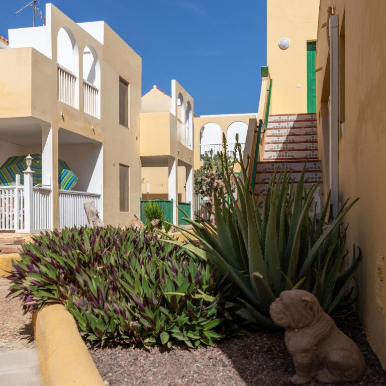 Caleta Paraiso Sea View 137 - One-Bedroom Apartment - 46