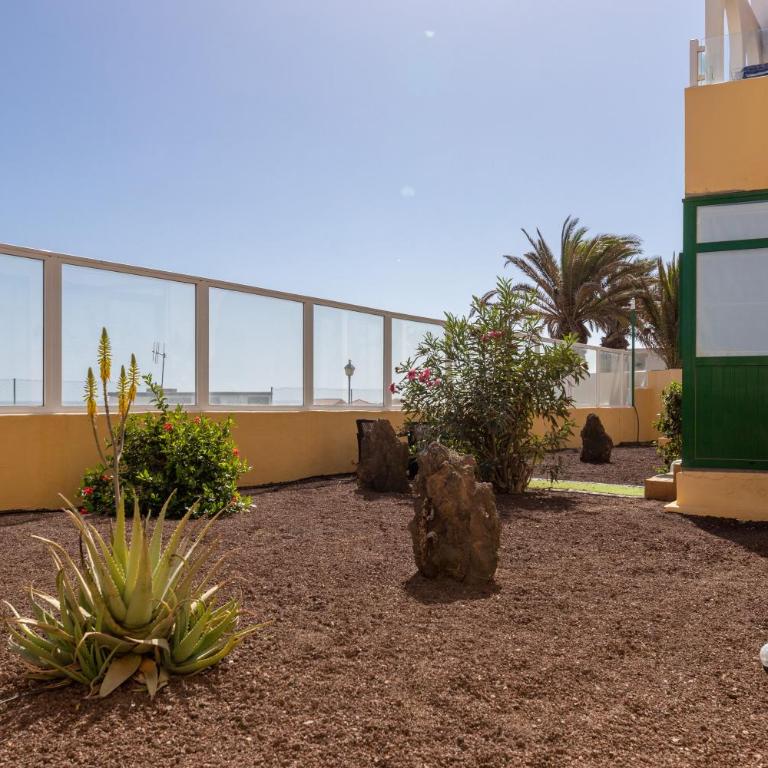 Caleta Paraiso Sea View 137 - One-Bedroom Apartment - 45