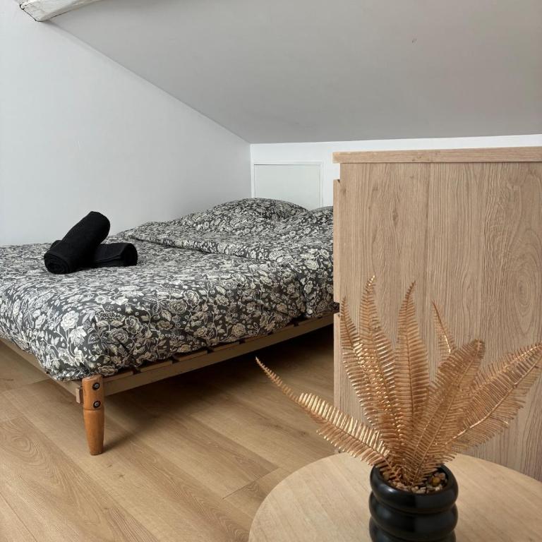 Appartement vue Loire - Appartement 1 Chambre - 6