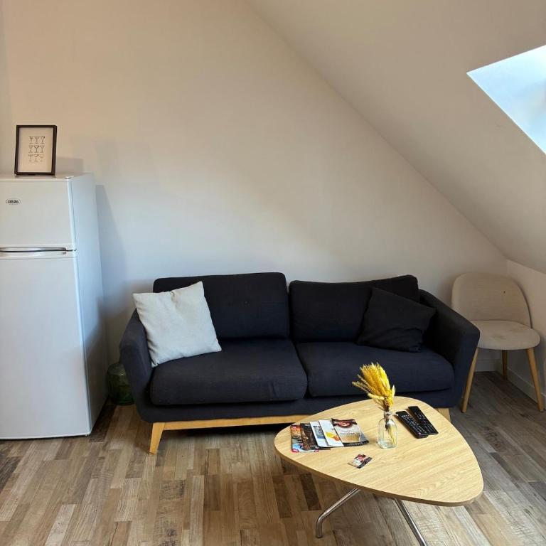 Appartement vue Loire - Appartement 1 Chambre - 5