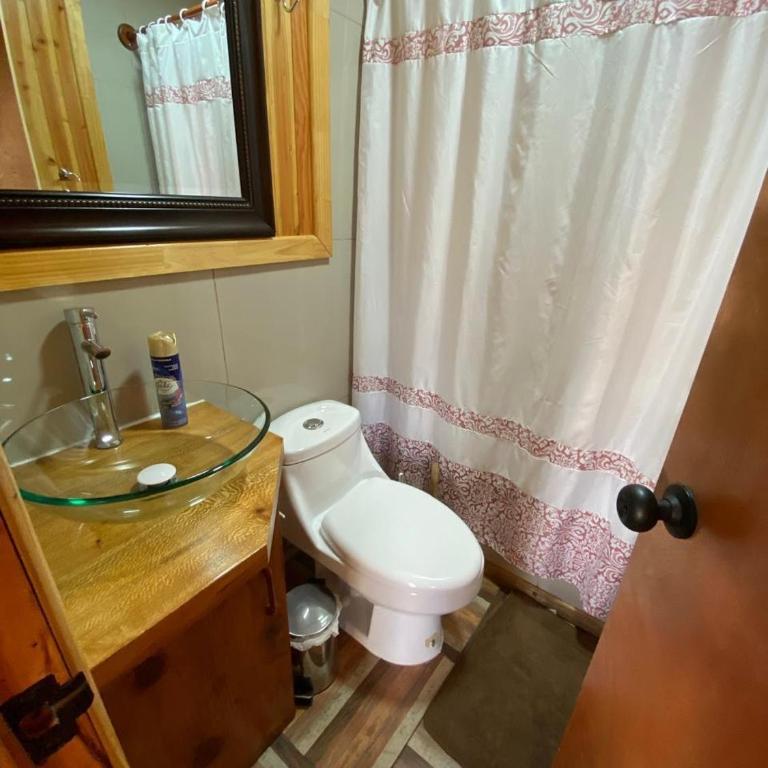 Cabaña naturalsur entre Lican Ray y villarrica - Apartamento de 2 dormitorios - 7