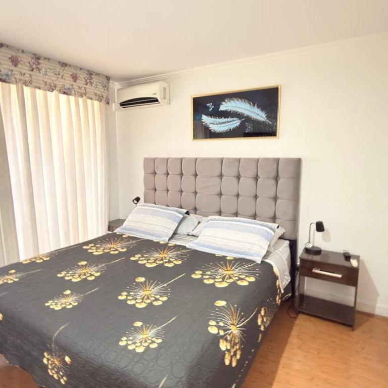 Deptos amoblados providencia - Two-Bedroom Superior Apartment - 1