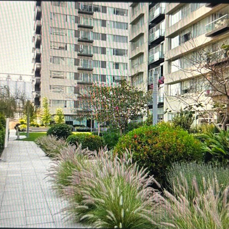 Parques Polanco, beautiful and excellent location one bedroom and a sofa bed - One-Bedroom Apartment - 17