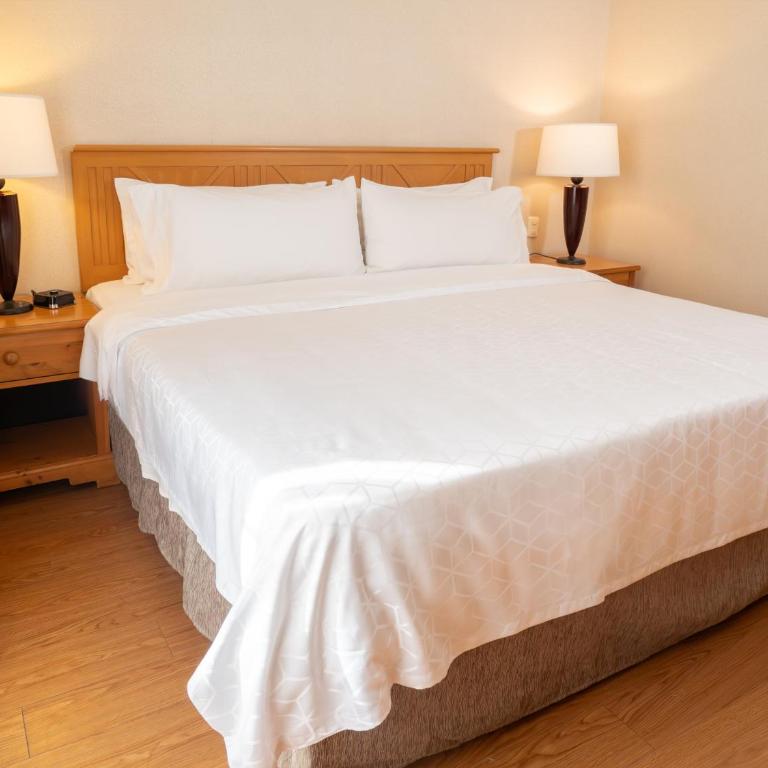 Holiday Inn Express Guanajuato by IHG - King Suite - 3
