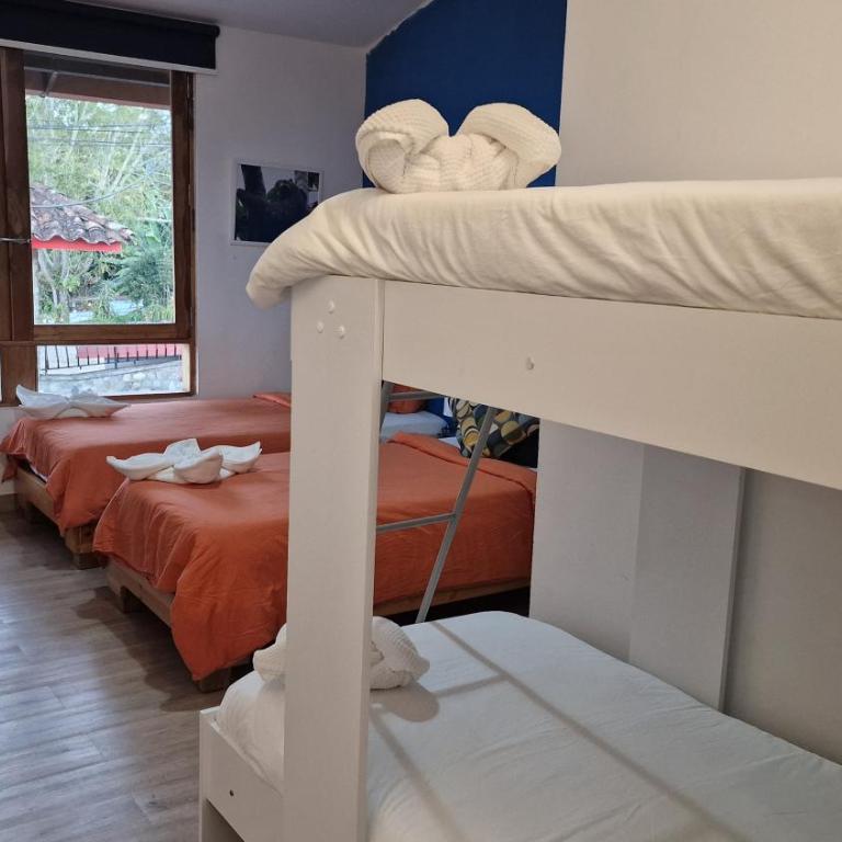 Hotel La Caracola Salento - Apartamento Superior - 44