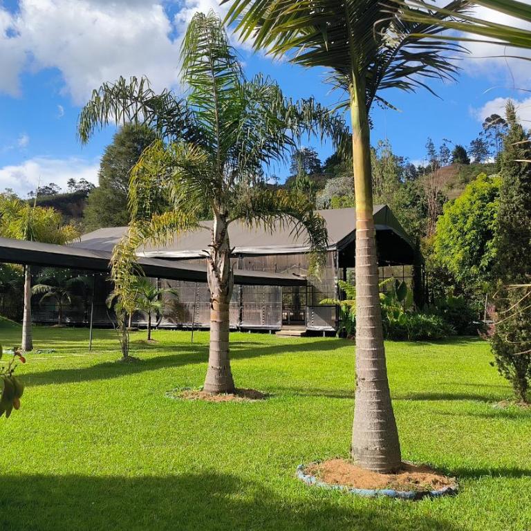 CASA HOTEL FIBA MAGUEZA - Apartment with Pool View - 26