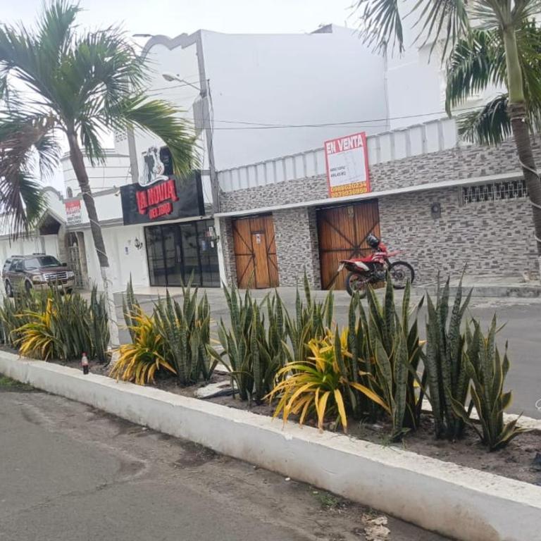 LaManta Departamento - Two-Bedroom Apartment - 7