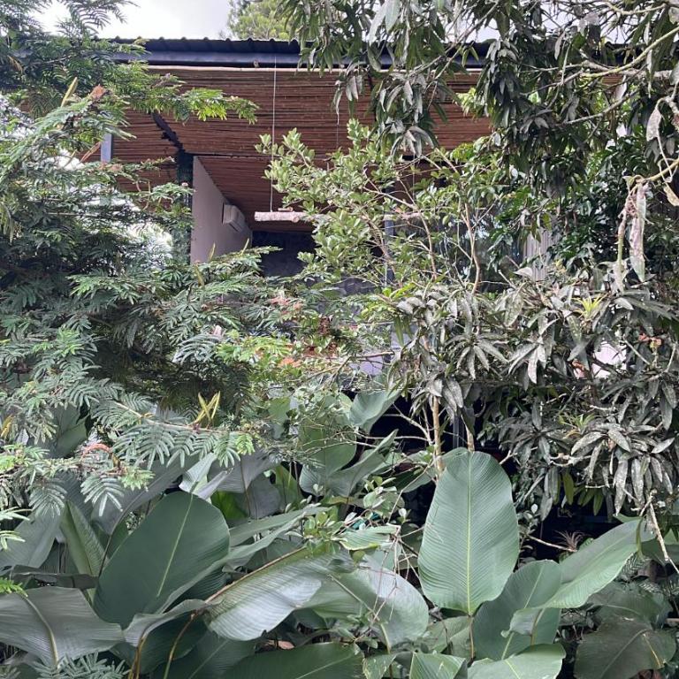 Natural Luxury Hotel - Suite Estándar - 7