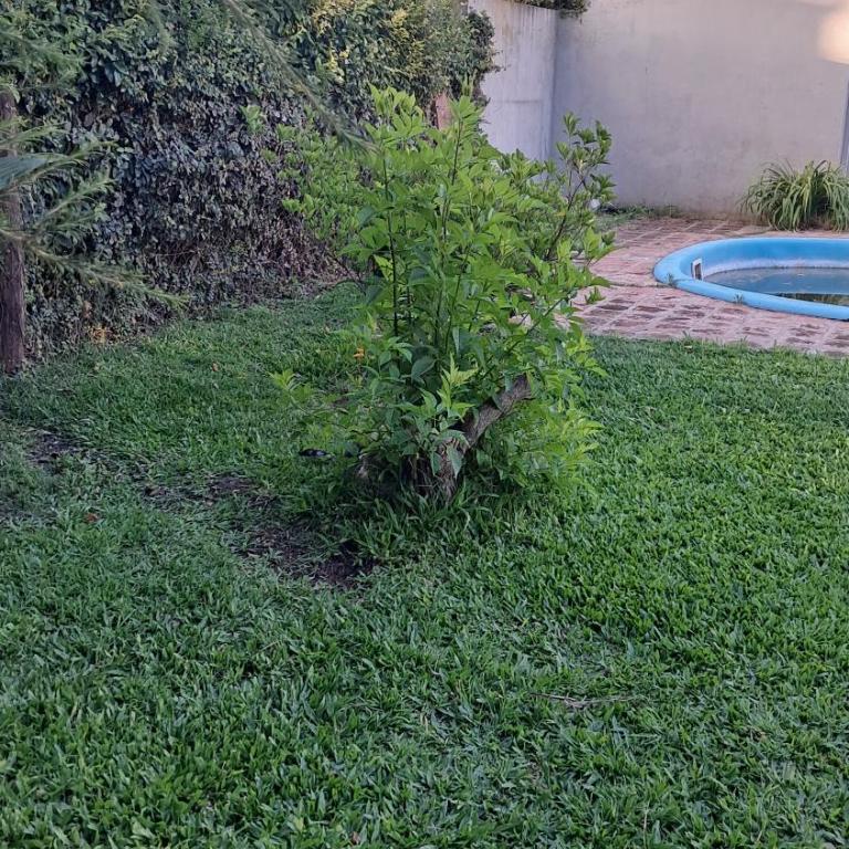 Casa Quinta Las Palmeras - Casa de 3 dormitorios - 10