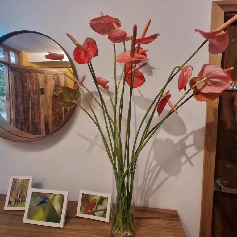 Hotel La Caracola Salento - Habitación Deluxe con cama extragrande - 62