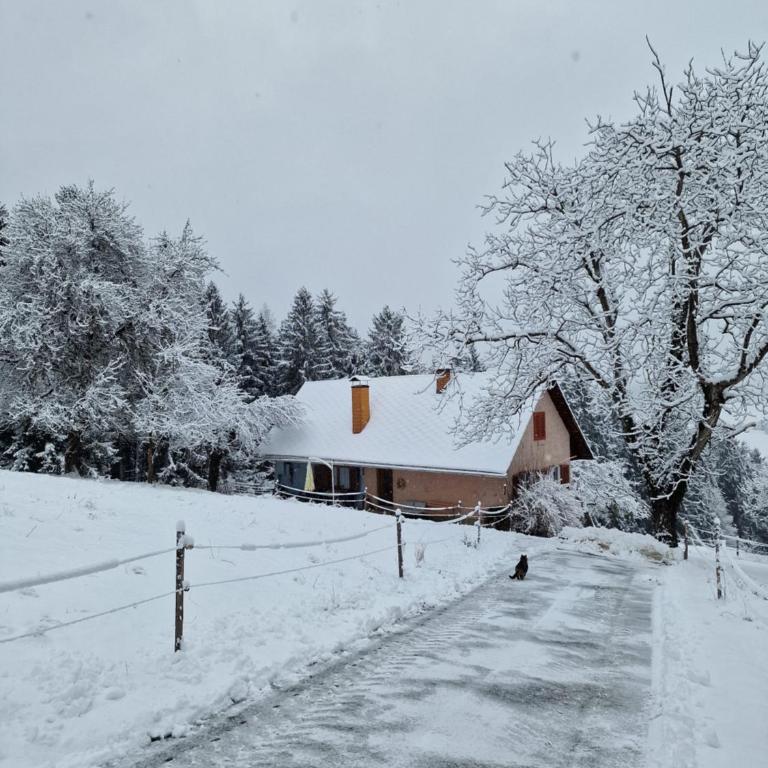 Natur- & Erlebnis Ferienhaus - Apartment mit 2 Schlafzimmern - 28