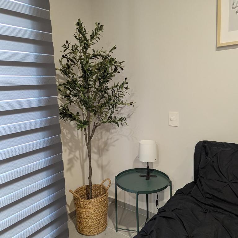 Villadhara Centro GDL - Apartamento Loft de 1 dormitorio - 11