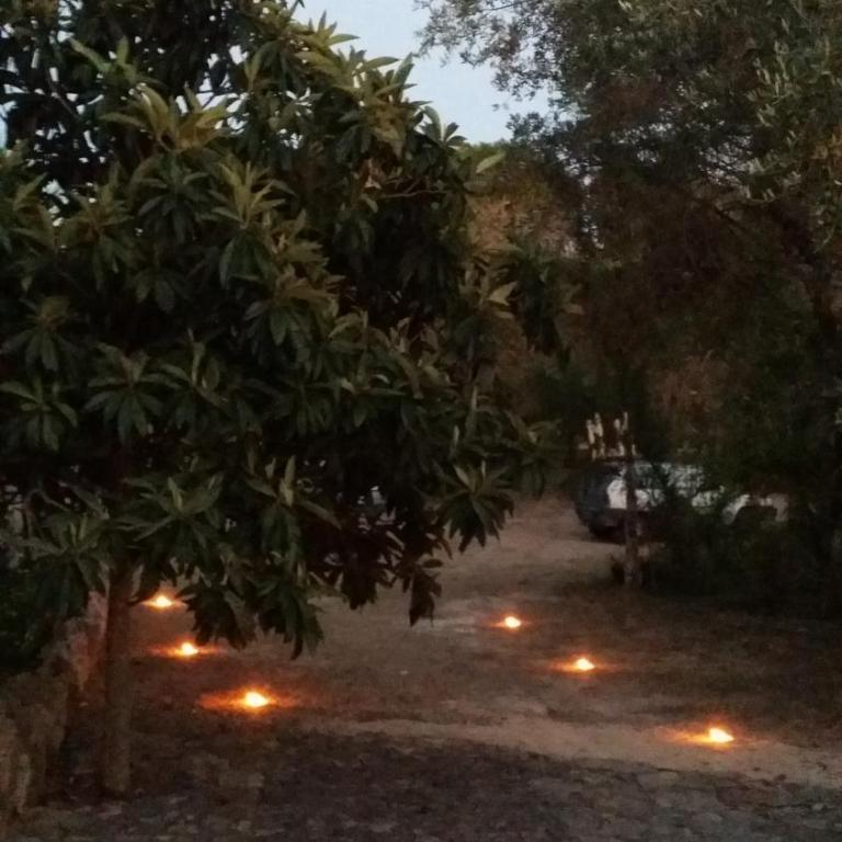 Agriturismo Tenuta La Siesta - Casa con 1 Camera da Letto - 17