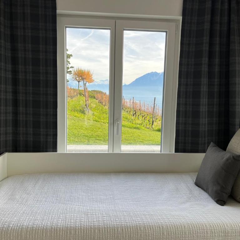 Renovated APT with panoramic view - Deluxe Apartment mit 2 Schlafzimmern und Gartenblick - 9