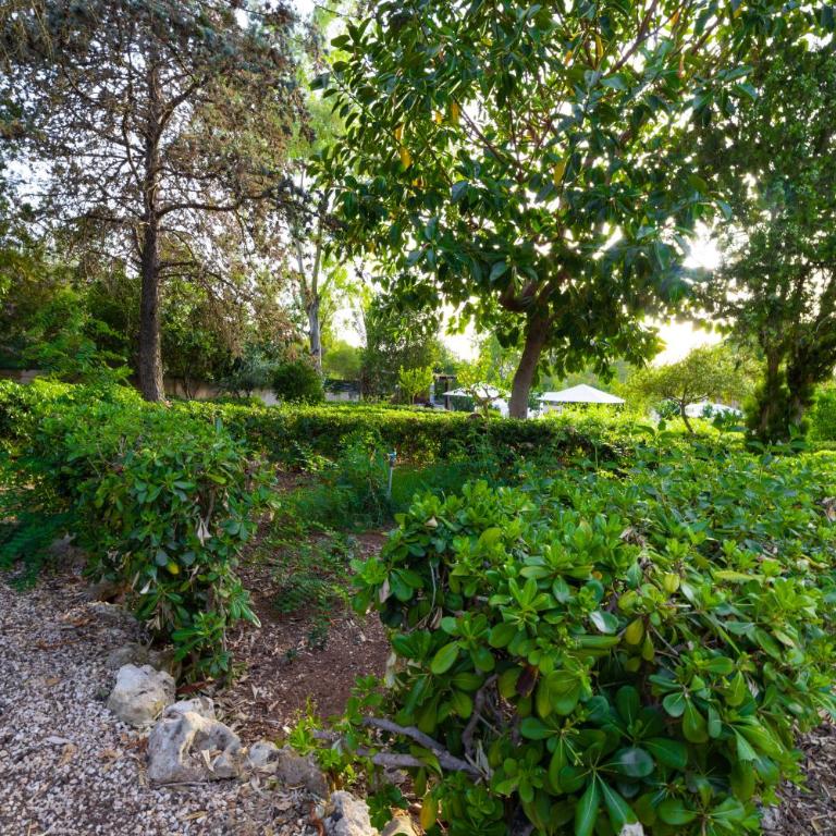 Villa Rosemary - Appartamento con 1 Camera da Letto e Vista Mare - 77