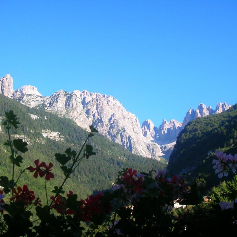 Garnì Lago Alpino - Camera Tripla con Balcone - 1