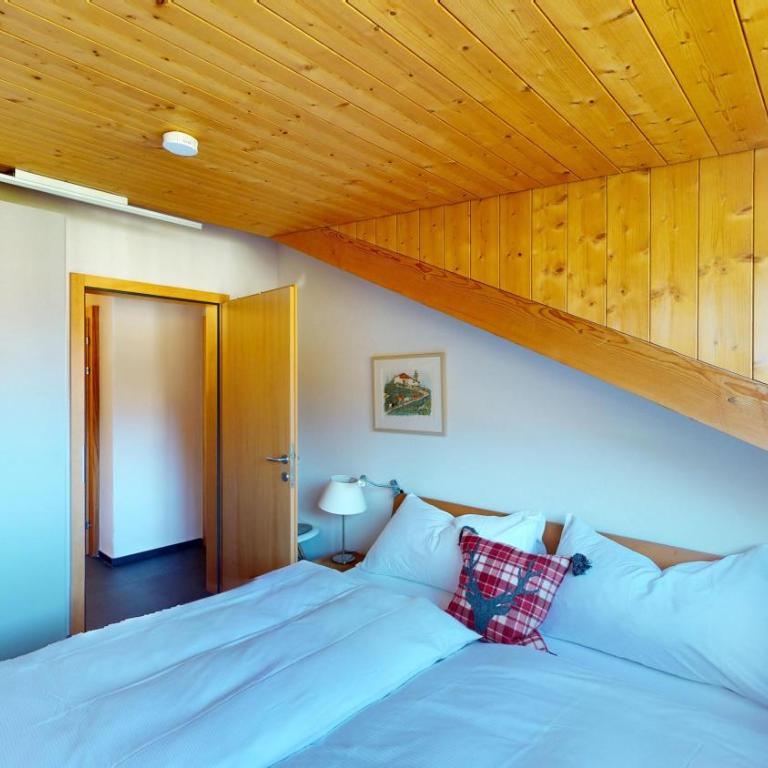 Abitaziun Allegra Sur DG - Zuoz - Penthouse-Apartment - 16