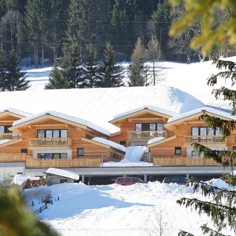 Alpin-Chalet Flachauwinkl - Ferienhaus mit Dusche - 1