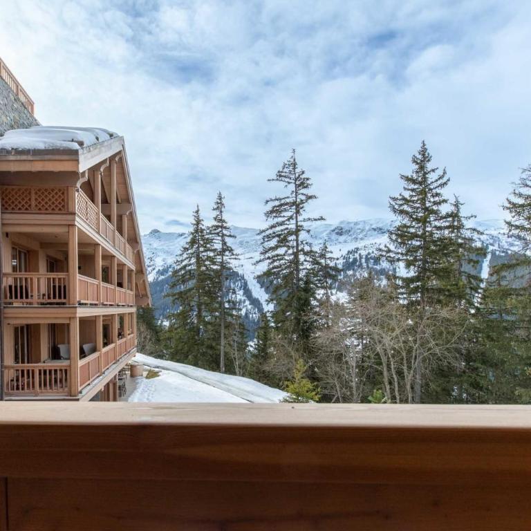 Antarès URSA 303 - luxury apartment ski inski out - Appartamento - 8
