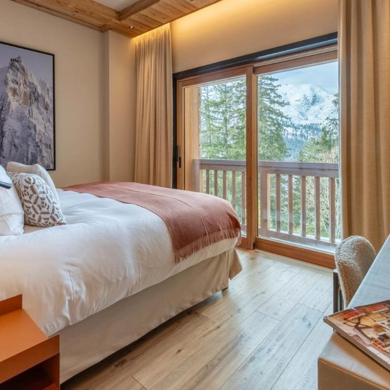 Antarès URSA 303 - luxury apartment ski inski out - Appartamento - 12