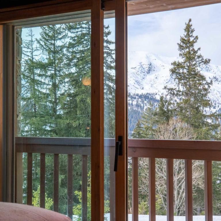 Antarès URSA 303 - luxury apartment ski inski out - Appartamento - 16
