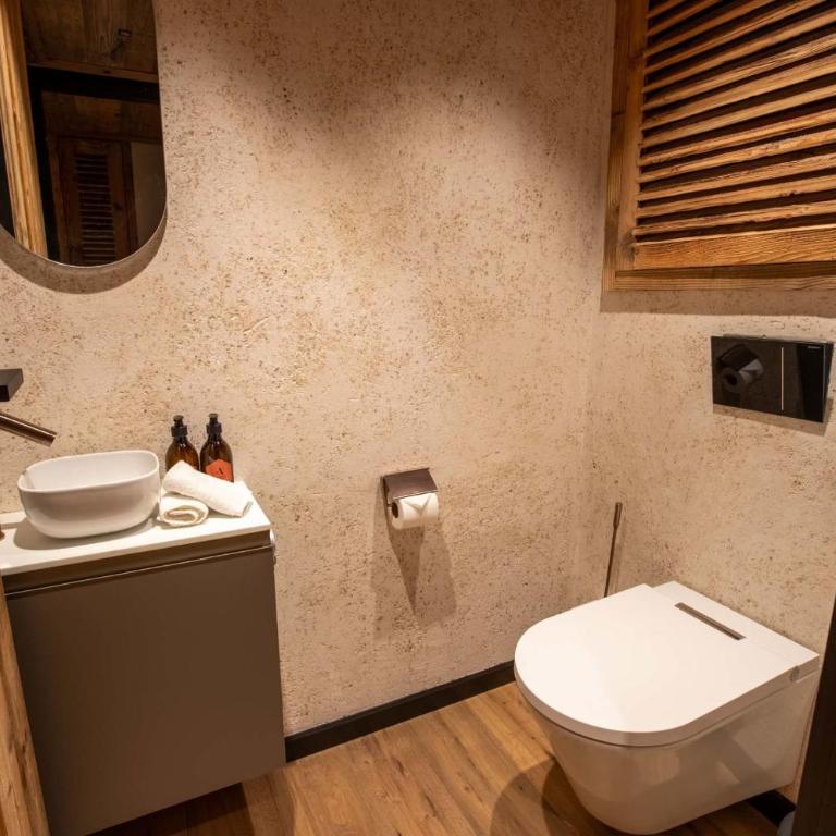 Antarès URSA 303 - luxury apartment ski inski out - Appartamento - 24