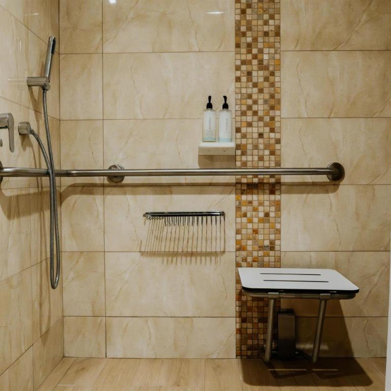 Hilton Garden Inn Cusco - Habitación con ducha a ras de suelo, adaptada para personas de movilidad reducida - Cama extragrande - 4