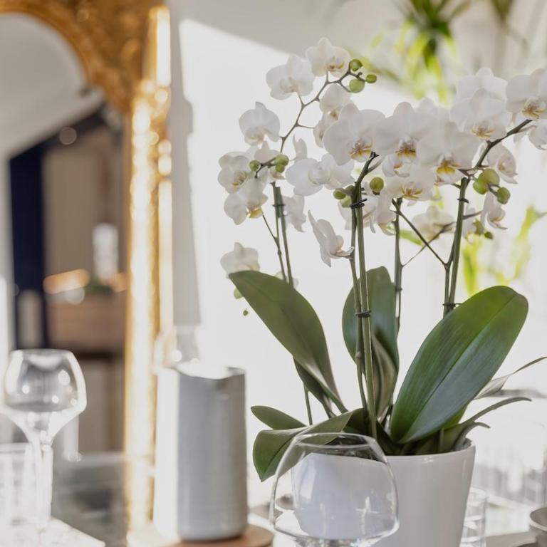 Maison de charme - Vues Montagnes - Aix-les-Bains - Villa 3 Chambres - 7