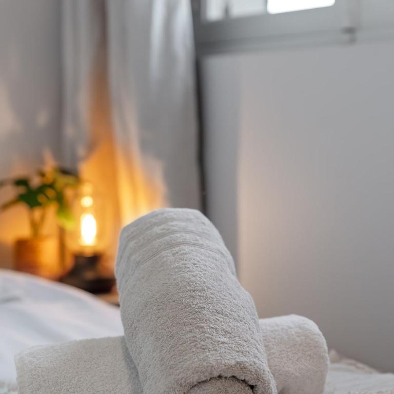 Maison de charme - Vues Montagnes - Aix-les-Bains - Villa 3 Chambres - 52
