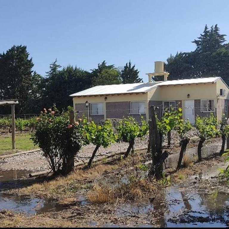 La mazuelina - Apartamento de 1 dormitorio - 5