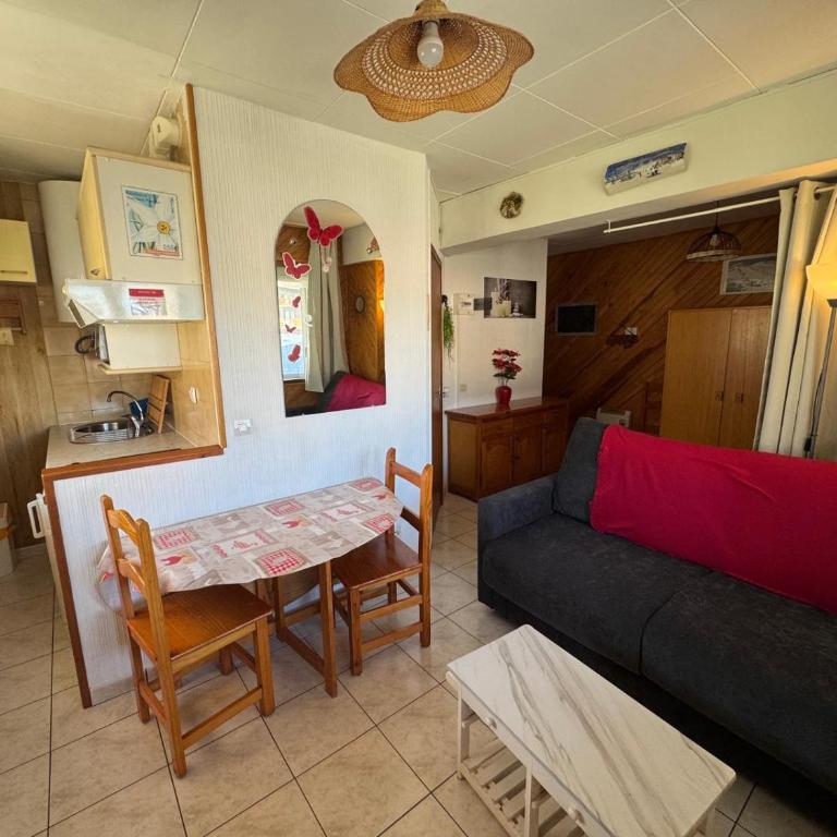 Immodelpas Grandalla - Apartamento Estudio - 3