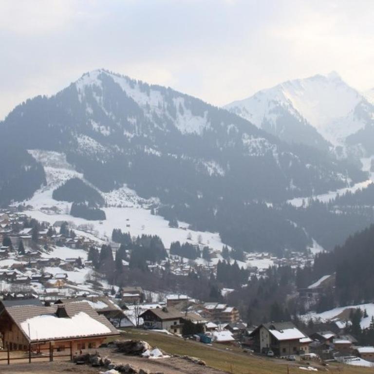 Chalet 3 Pièces, 5 Pers, Balcon, Parking, WIFI, Châtel - FR-1-676-46 - Appartement - 16