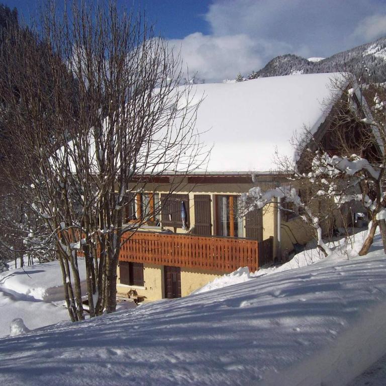 Appartement cosy 3 pièces, 4 pers, balcons, proche centre et télécabines à Châtel - FR-1-676-65 - Appartement - 18